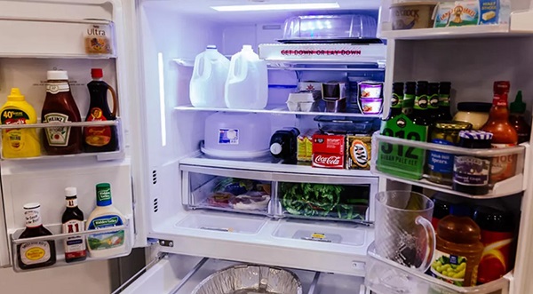 fungsi refrigerator