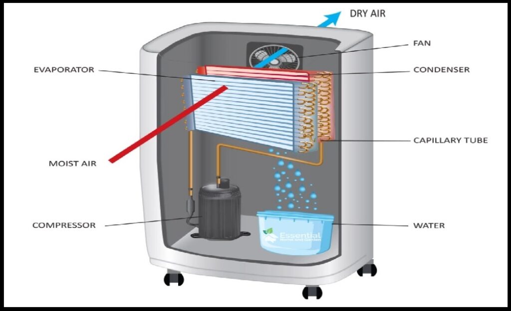 Bagaimana Cara Kerja Dehumidifier Mengurangi Kelembaban Udara