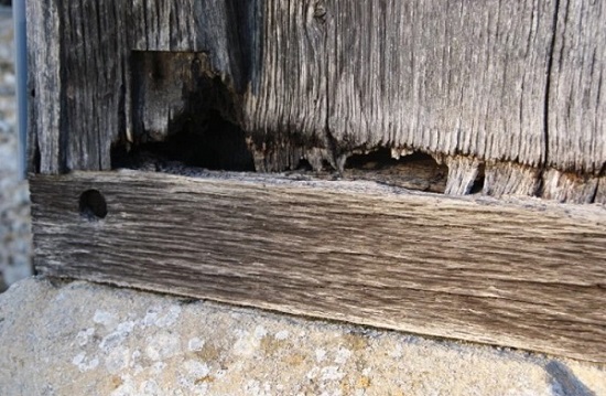 Mencegah kerusakan kayu
