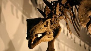 Fosil Naga Kematian Ditemukan di Argentina