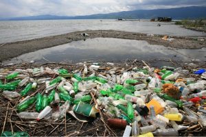 Ilmuan Temukan Bakteri Pengurai Sampah Plastik