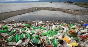 Ilmuan Temukan Bakteri Pengurai Sampah Plastik
