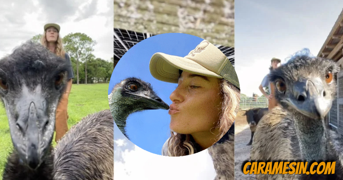 The story of emmanuel the emu is now viral on tiktok