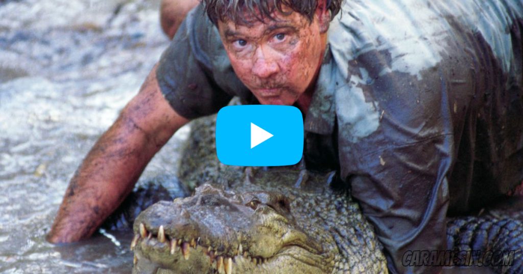 Leaks: Mystery video of Steve Irwin's death caught on camera, his last Covering Crocodile