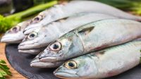 Tips Hilangkan Bau Amis Ikan