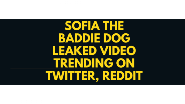 Link Full Sofia The Baddie Dog Video Twitter Pbrleaks Leaked Link Here