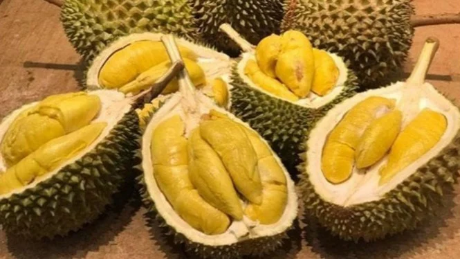 durian