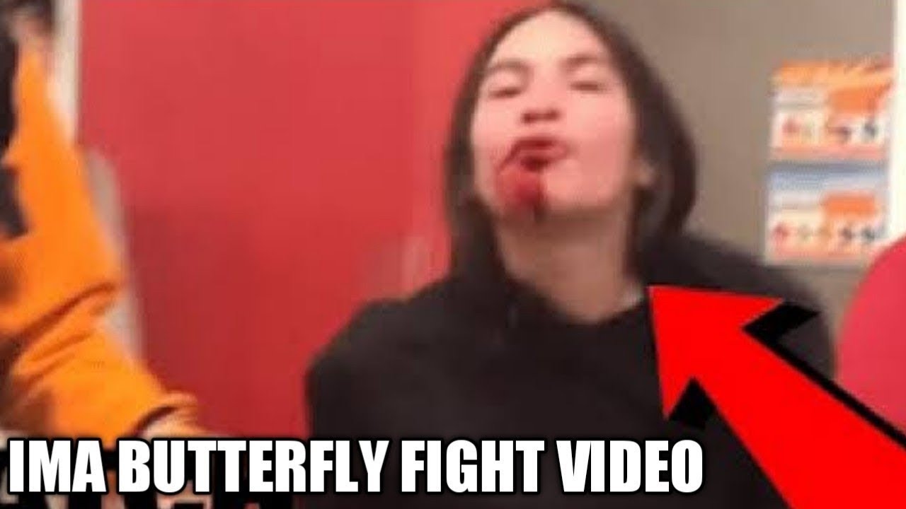 Link Full Ima Butterfly Fight Video Twitter Latest