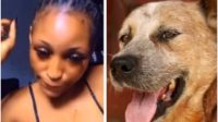 Link Viral Video Of A Lady Sleeping With A Dog Kisii Teachers Viral Video Latest